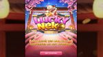 សំណាង Neko Port Demo & Testimonial 2025